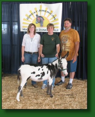 2009 GAMDS High Seller ~ Hill Country Miniatures Spitfire