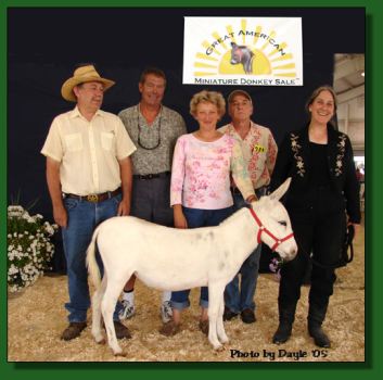 Second Highest Seller!