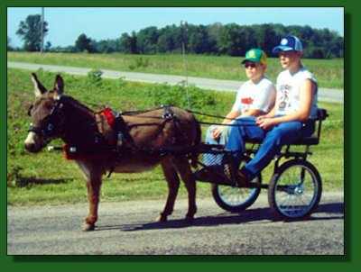 TMD Thom-Ass Rowdy ~ Lot #44