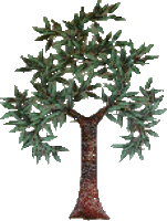 Welcome to The Elms Farm!